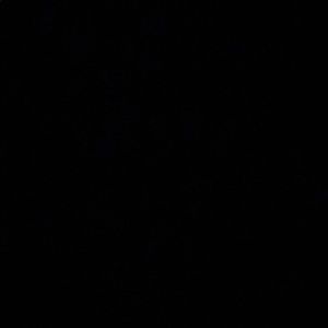 Meet your Posher, Manuel